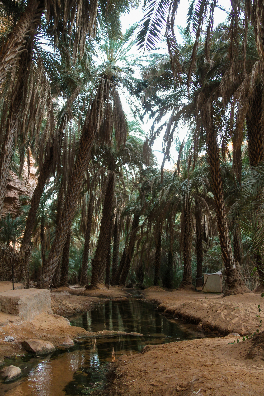 jabal-rum-crossing-alpine-route-jordan160 Terjit-Oasis-Atar-Mauritania-Adrar-Water-Stream
