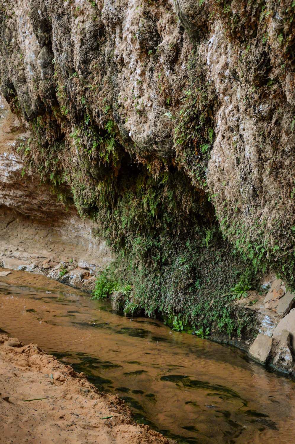 jabal-rum-crossing-alpine-route-jordan161 Terjit-Oasis-Atar-Mauritania-Adrar-Water-Stream