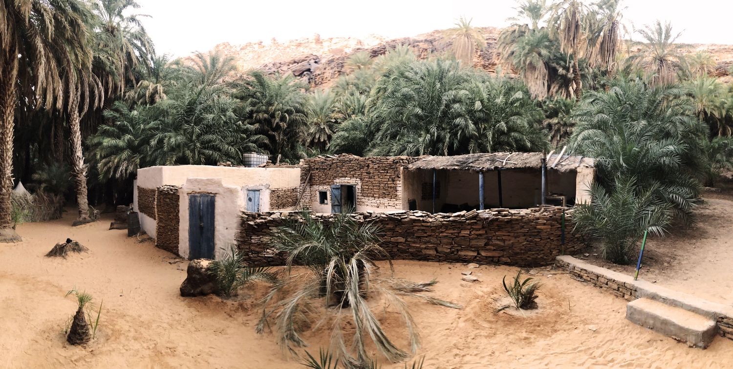 Terjit-Oasis-Atar-Mauritania-Adrar-Palm-Grove8 Terjit-Oasis-Atar-Mauritania-Adrar-Palm-Grove8