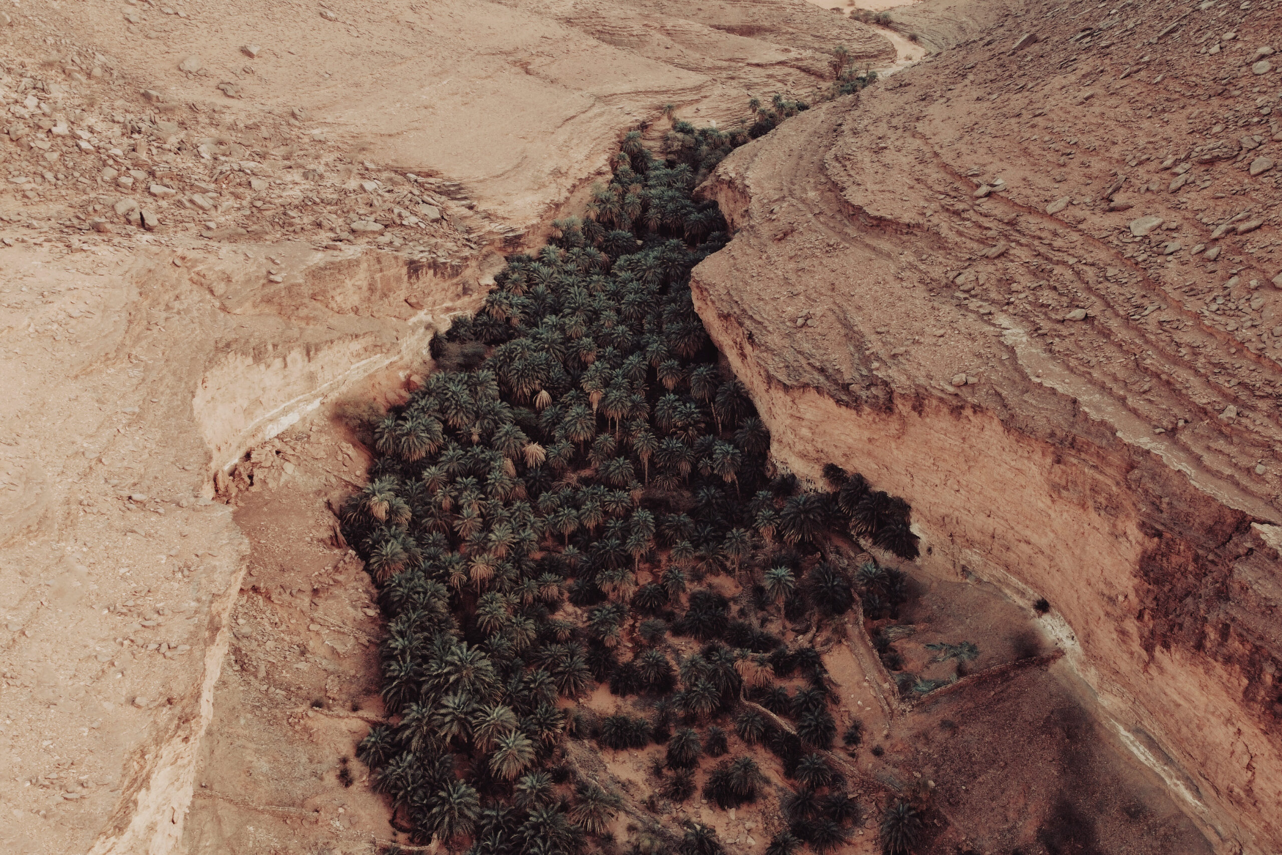 Terjit Oasis Mauritania